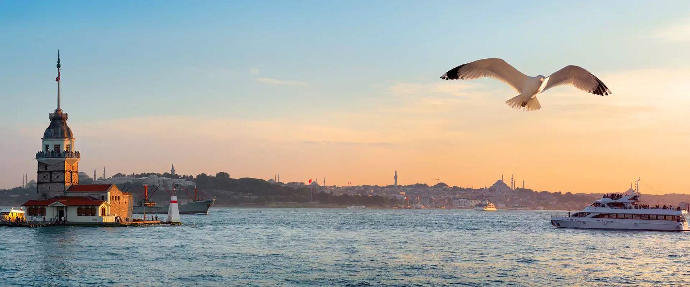 Can Seagulls Be Your Wedding Witnesses?